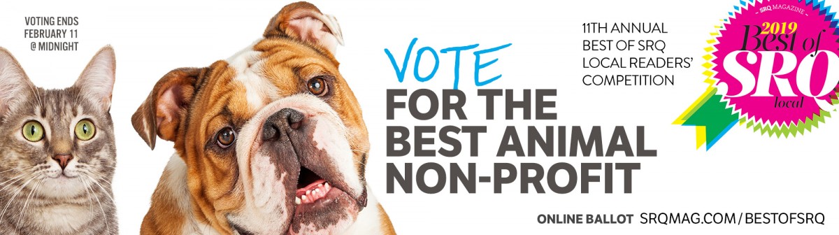 Please allow images to view this email properly