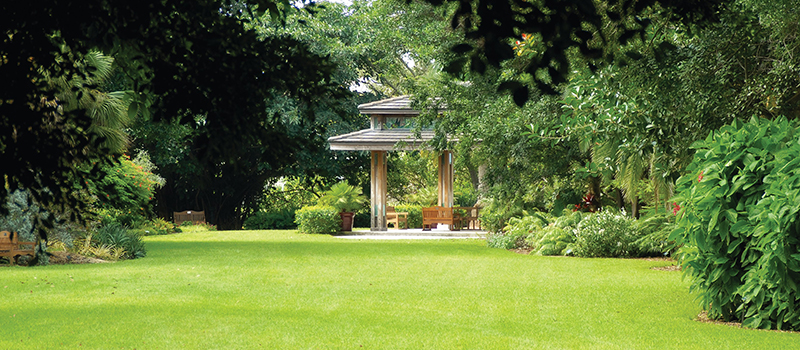 Best Children's Attraction: Marie Selby Botanical Gardens