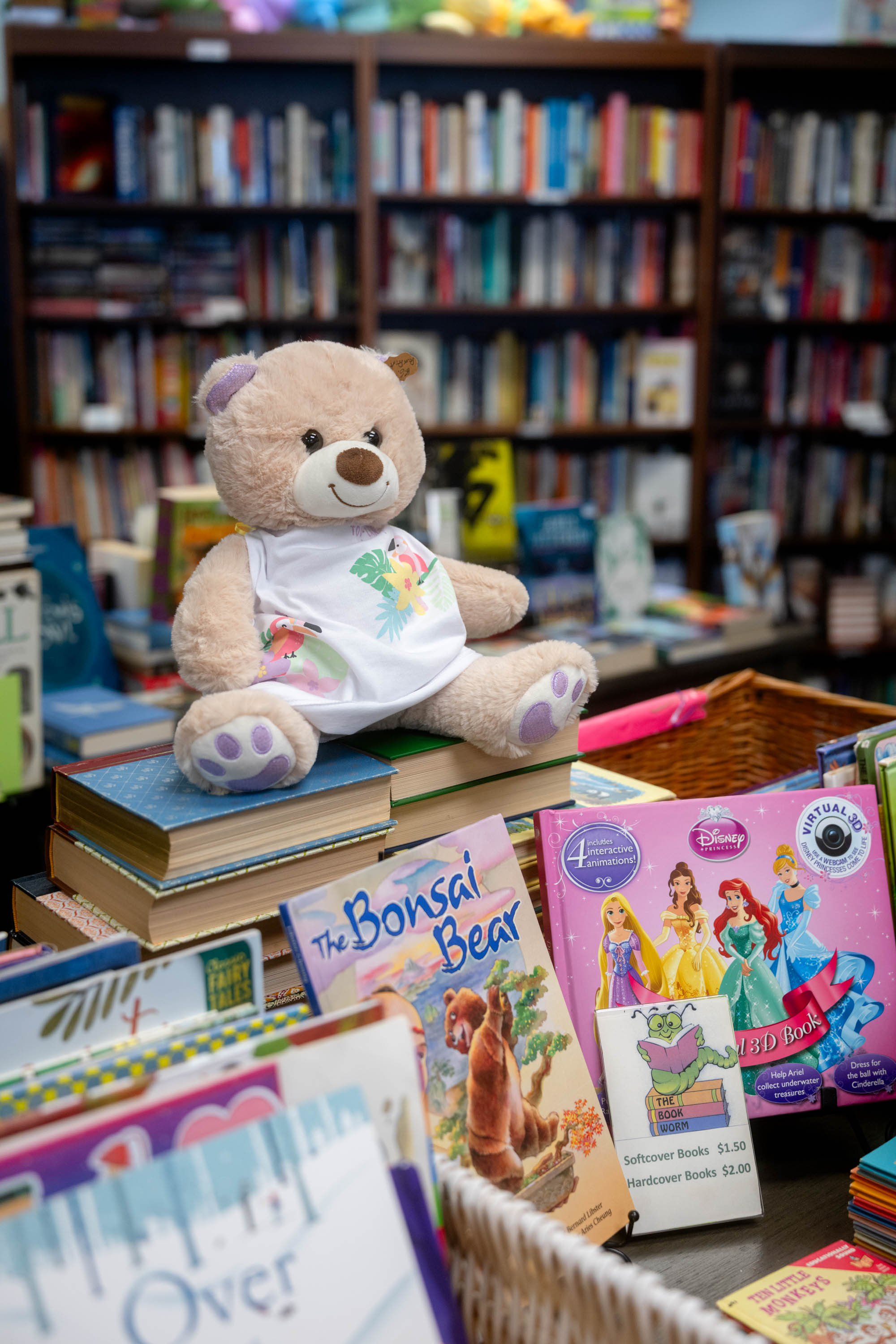 The Book Worm The Book Worm