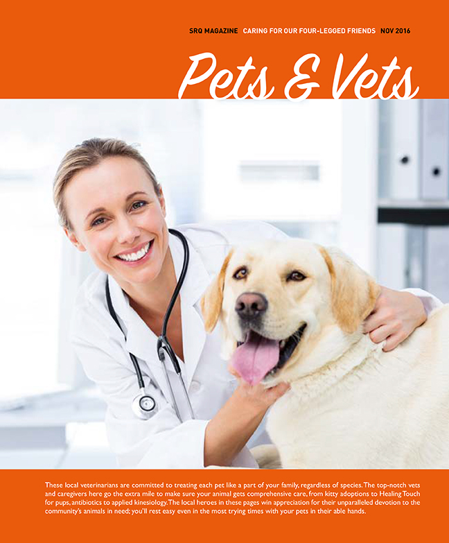 Pets and Vets 