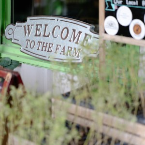 Where the Roots Reach the Sea