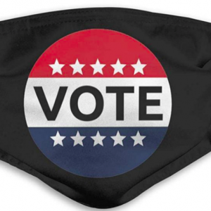 Sarasota City Manager On Most Important Election in Forty Years