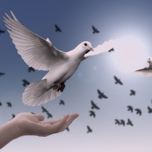 Is peace and healing possible in a turbulent world? 