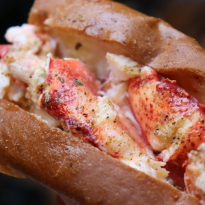 LobsterCraft Highlights Connecticut State Sandwich