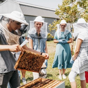 Heritage Bee Farm Shares the Buzz on Bees 