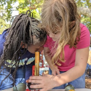 Enjoy a Multi-Sensory Earth Day at Selby Gardens Historic Spanish Point Campus