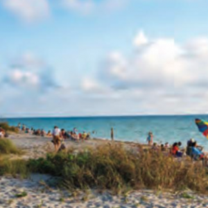 Discover Natural Sarasota - Turtle Beach Park and Campground