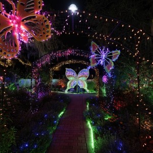 Lights in Bloom Brings a Tropical Twist to the Holiday Season