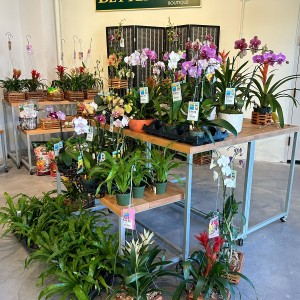 Marie Selby Botanical Gardens Honors Longterm Partnership by Creating the Better Gro Boutique at New Garden Shop