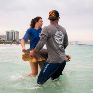 Mote Marine Laboratory Releases Rehabilitated Sea Turtle 