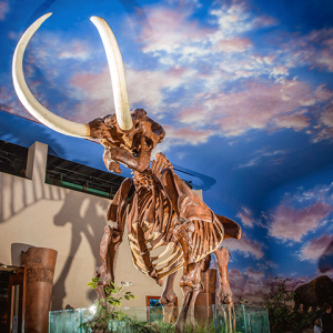 Discover, Explore, and Be Inspired at The Bishop