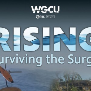 Three Years Later: Shining a Light on Hurricane Ian's Unseen Damage