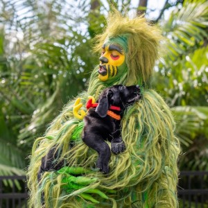 The Grinch Stopped by Dogs Inc on His Quest to Find the Next Max