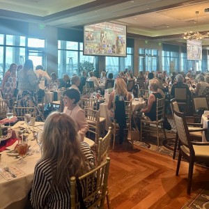 Baby Basics of Sarasota County Holds Annual Fundraiser