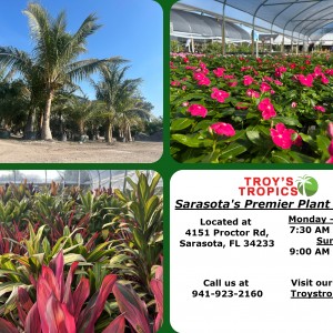 Sarasota's Premier Plant Nursery