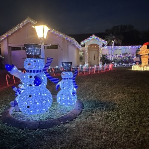 Heartwarming Holiday Surprise for Sarasota Veteran and Family