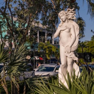 Celebrating Sarasota County's Century on the World Stage 