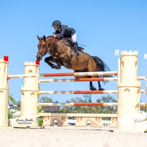 Equestrian Excitement in Myakka City