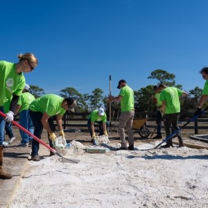 FPL Volunteers Give Back During Power to Care Week