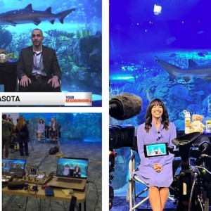 Spring Break's Impact Beyond Season