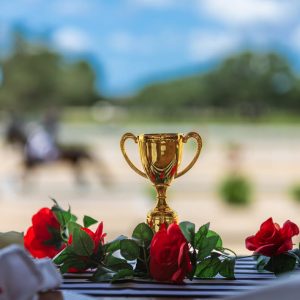 Derby and Dressage Dinner Party