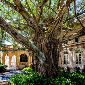 From Classroom to Career: How We Built an Internship Engine That Pays Off