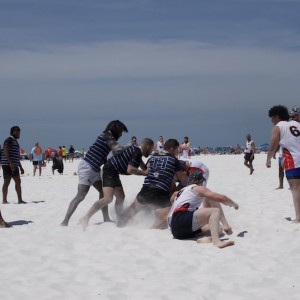 Gladiators on Siesta Key