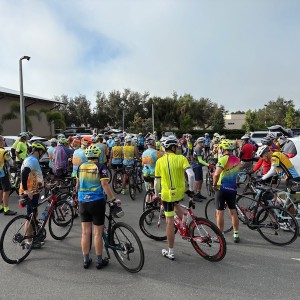 Hit the Road with the Sarasota Manatee Bicycle Club