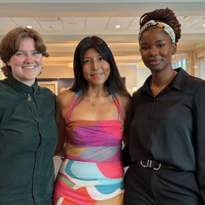 Are These Voices in Your Nonprofit Boardroom?