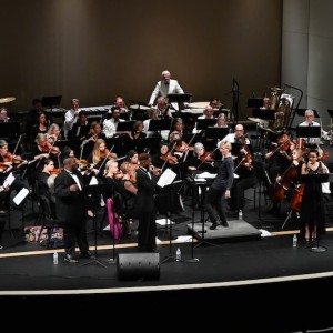 The Pops Orchestra of Bradenton and Sarasota and Palma Sola Park Launch Groovin in the Gardens
