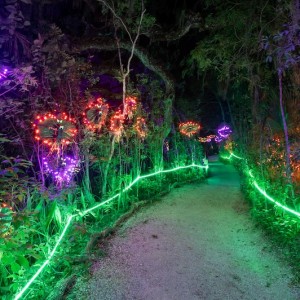 Lights at Spooky Point Returns October 1 through October 31