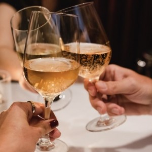 Sarasota Opera to Celebrate 2026 Season Opening with Curtain Raiser Dinner