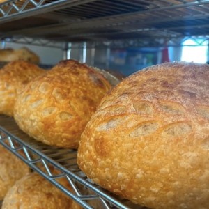 Calling All Bread Heads