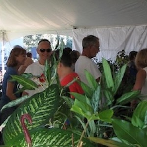 UF/IFAS Extension Sarasota County to host 20th annual Master Gardener Volunteer Plant Sale and EdFest