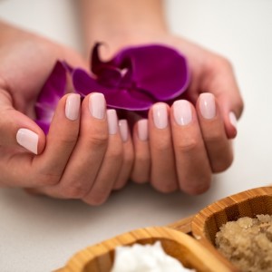 Get Tickled Pink at The Ritz-Carlton, Sarasota 