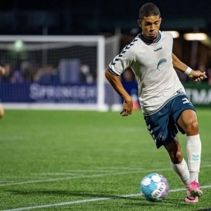 Sarasota Paradise Make Playoff Push
