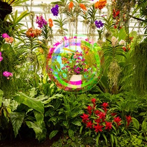  Selby Gardens Announces Establishment of the Institute for Nature and the Arts