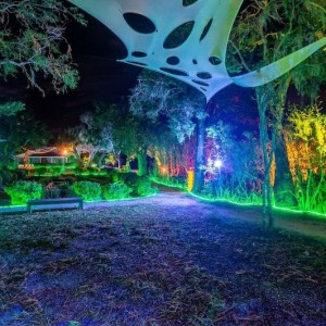  Don't Miss our Halloween Tradition Lights at Spooky Point
