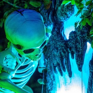 Last Chance for Lights at Spooky Point, Open Through Saturday, October 31