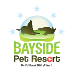 BaysidePet