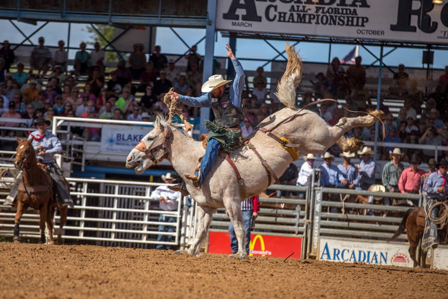 The Granddaddy of 'Em All