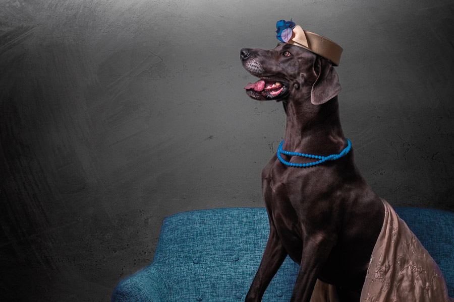 Rising Hollywood Starlet