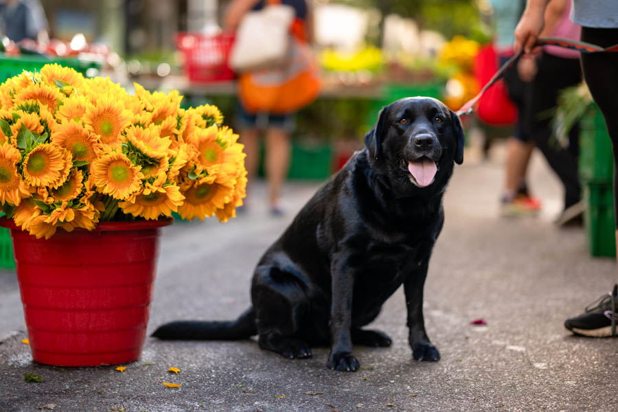 Photography by Wes Roberts