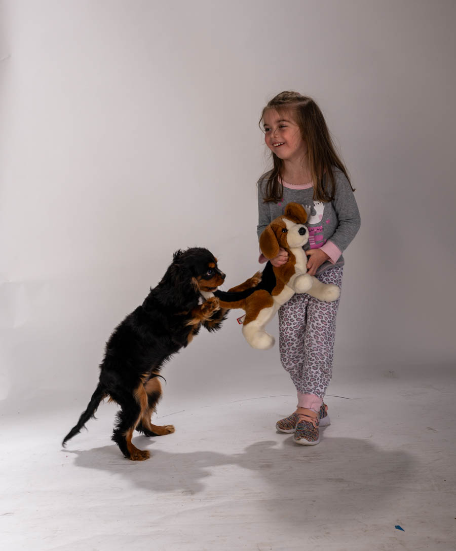 Photography by Wes Roberts