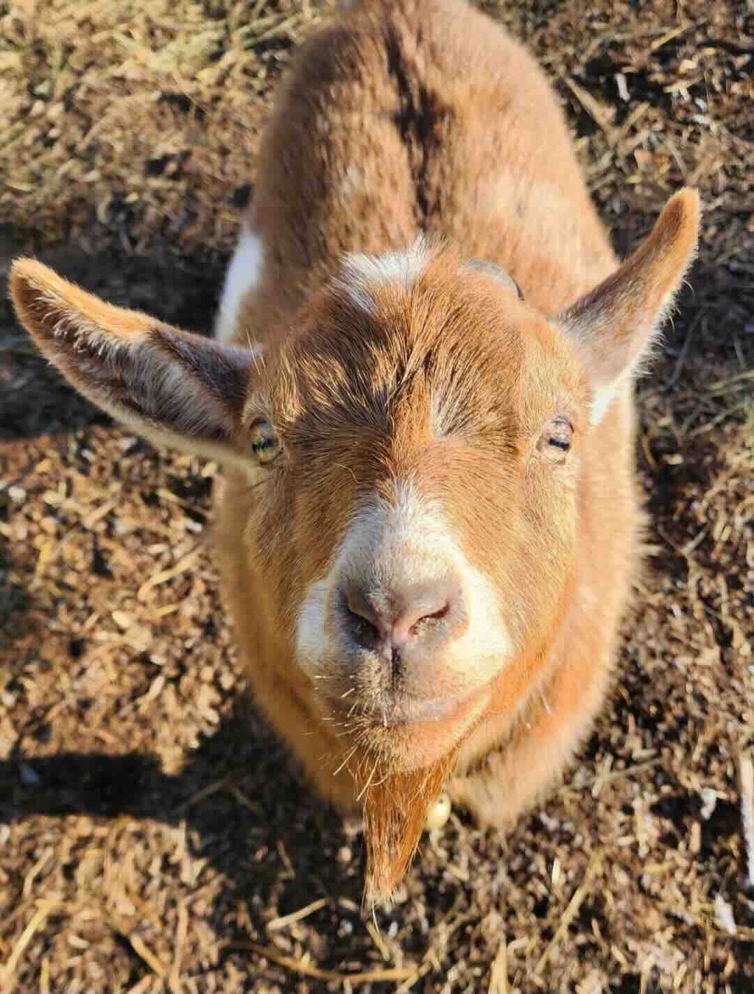 Photography by Wes Roberts