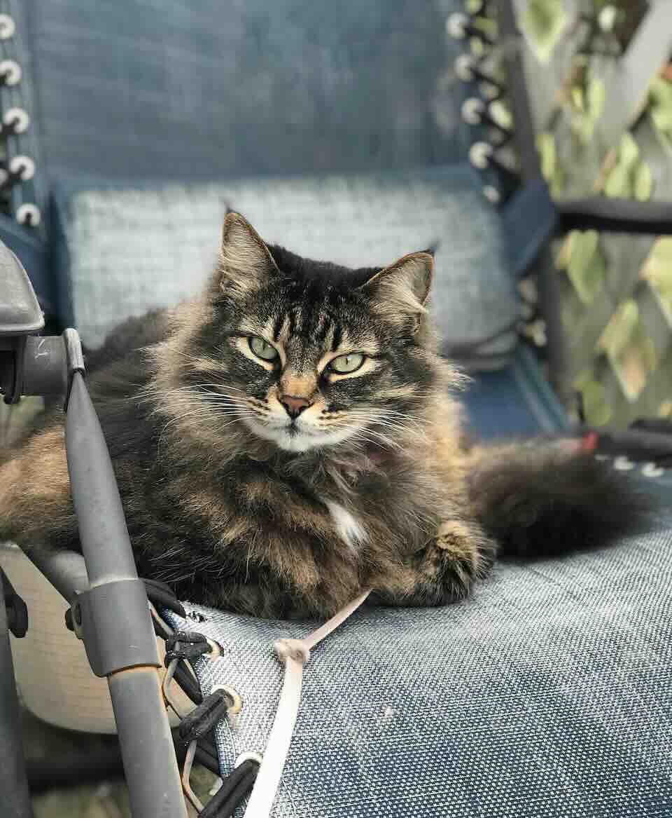 Photography by Wes Roberts