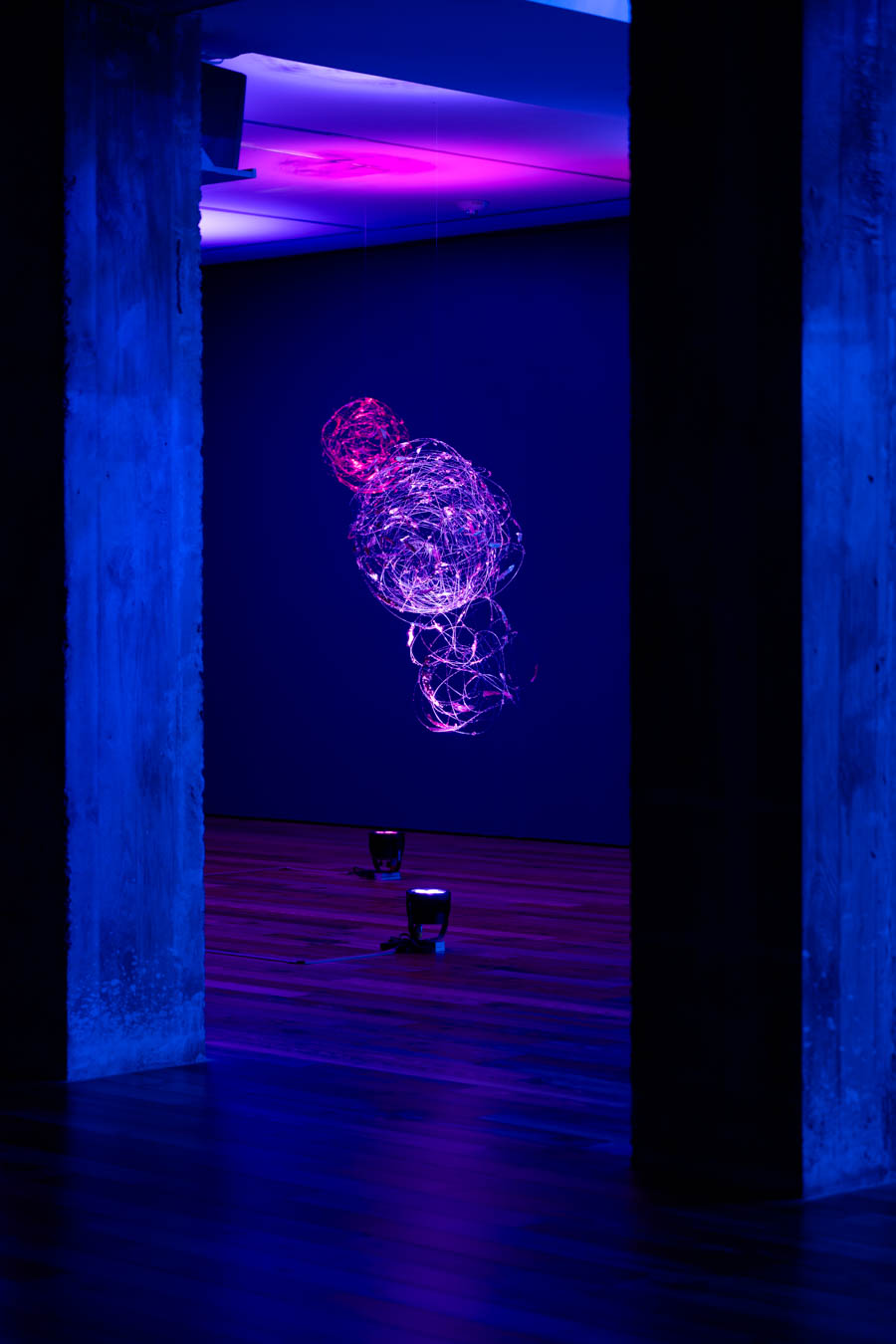 Looking to the Stars