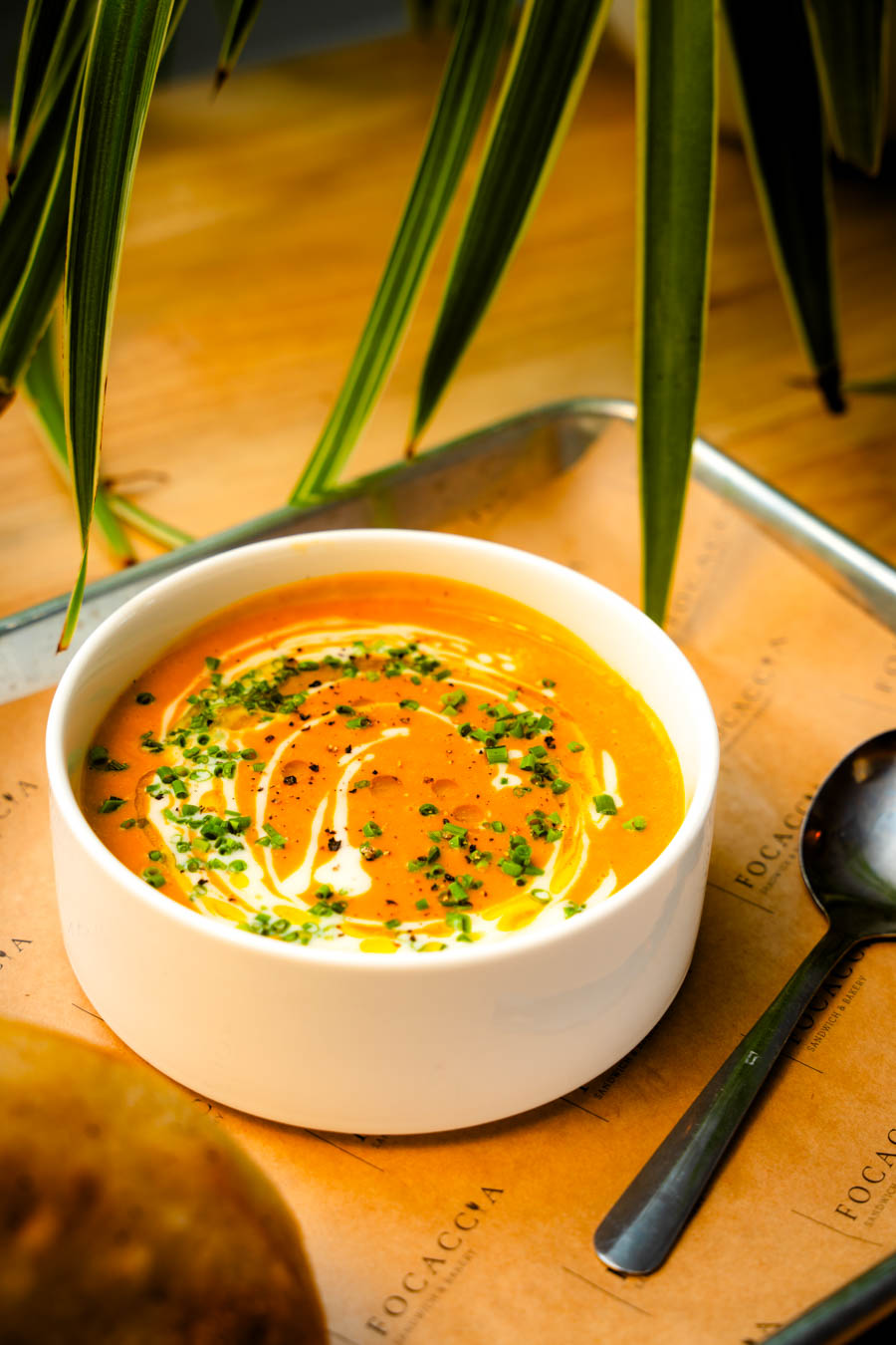 Photography by Wyatt Kostygan