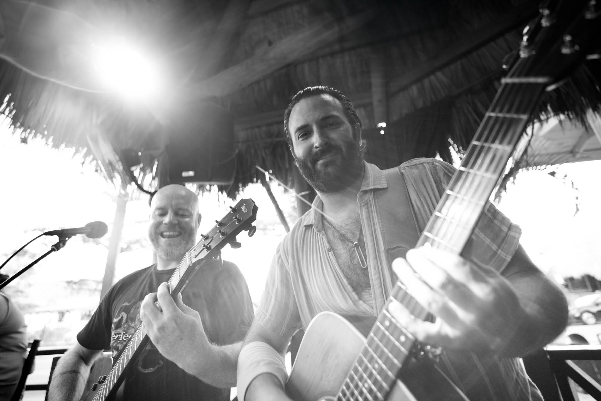 Audio Orchid Audio Orchid